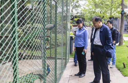 省化解办钢铁去产能“回头看”检查组深入南钢调研创新教育综合体建设成效